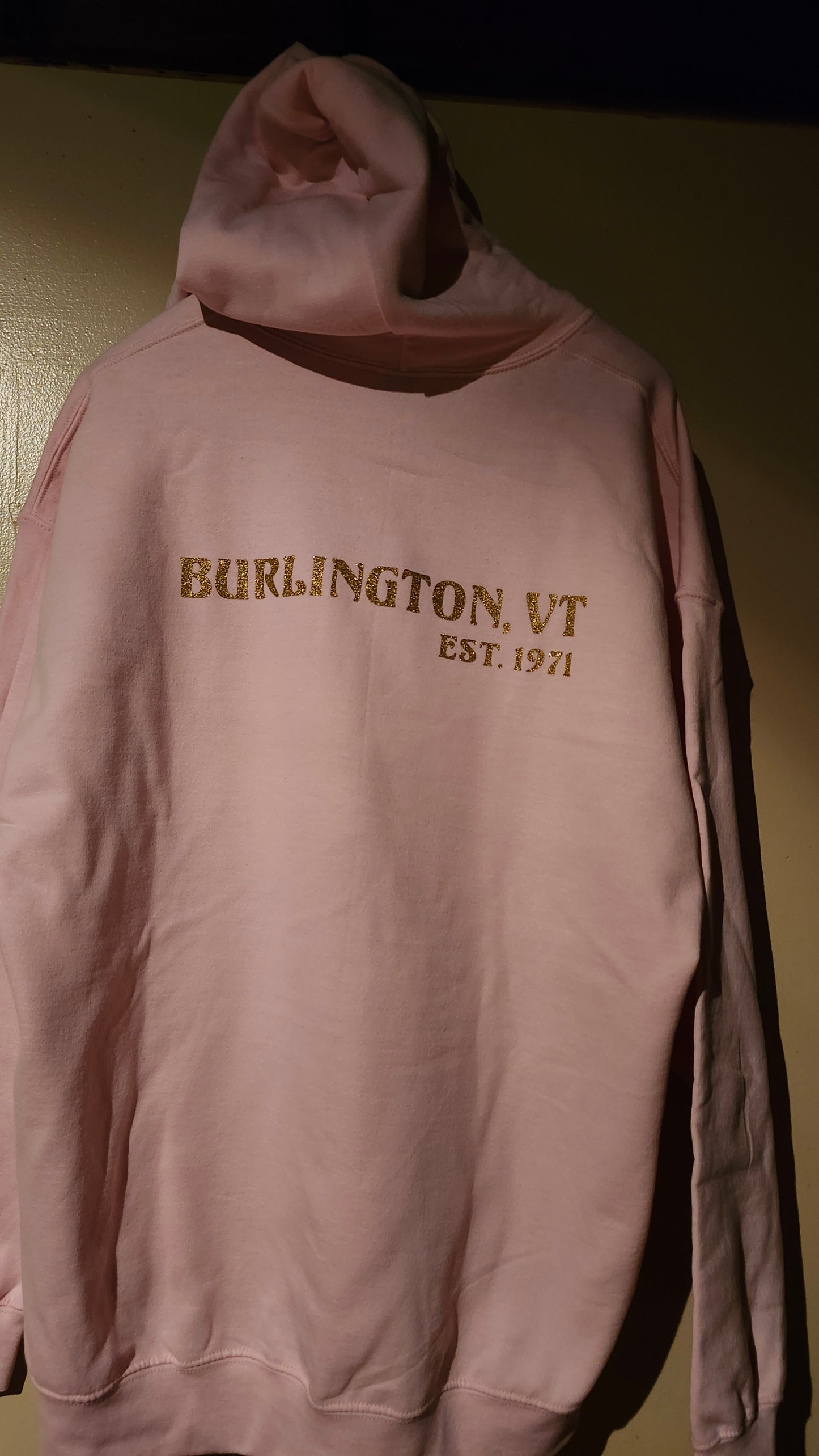 What Ales You Hoodie Light Pink with Gold Glitter Print